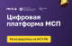 Цифровая платформа МСП