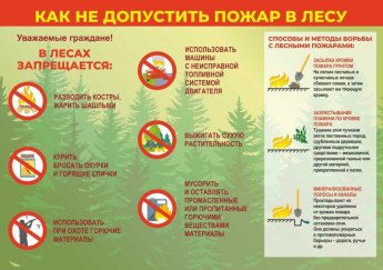 Памятка по пожарной безопасности в лесу