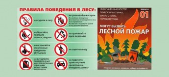 Памятка по пожарной безопасности в лесу