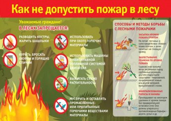 Памятка по пожарной безопасности в лесу