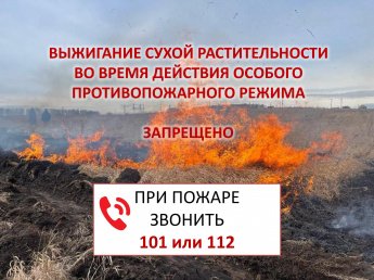 Особый противопожарный режим