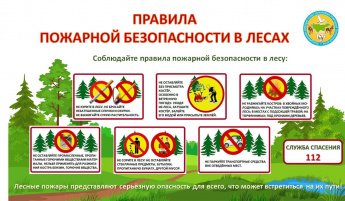 Памятка по пожарной безопасности в лесу
