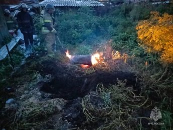 Оперативная обстановка с пожарами в Иркутской области