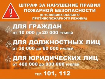 03.05.2024 на территории Усть-Удинского района введен Особый противопожарный режим